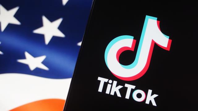 Legal battle over potential TikTok ban goes before federal appeals court